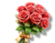 蔷薇花束x10