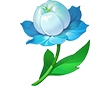 祈愿花*10
